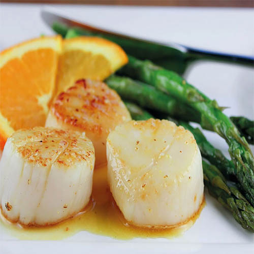 ostion sin coral ostion sin coral