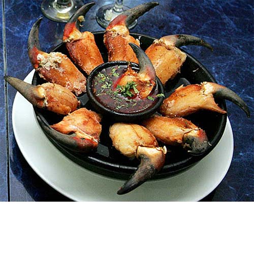 pinza de jaiba pinza de jaiba